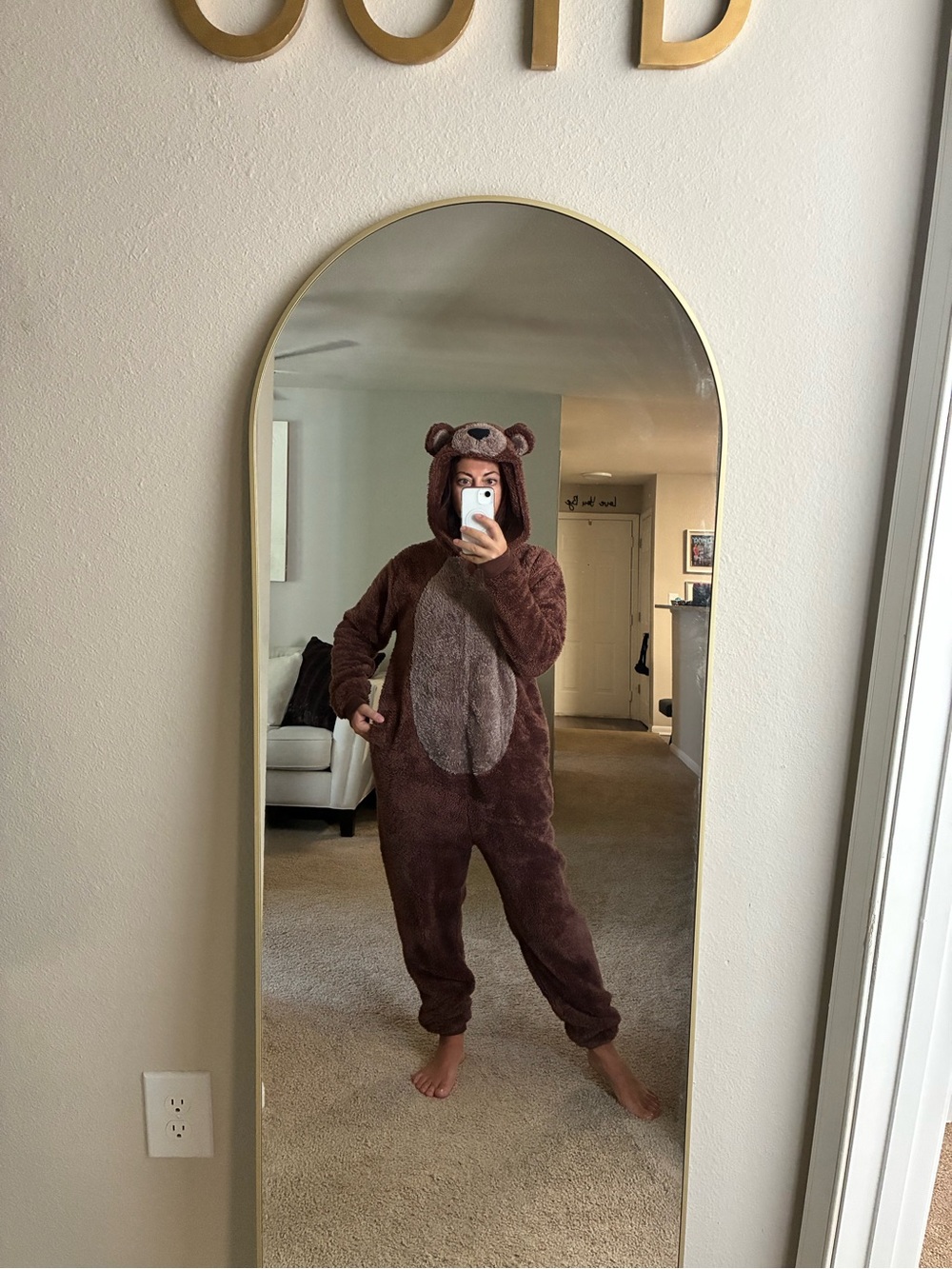 Brown Bear Adult One-Piece Plush Hooded onesie/costume